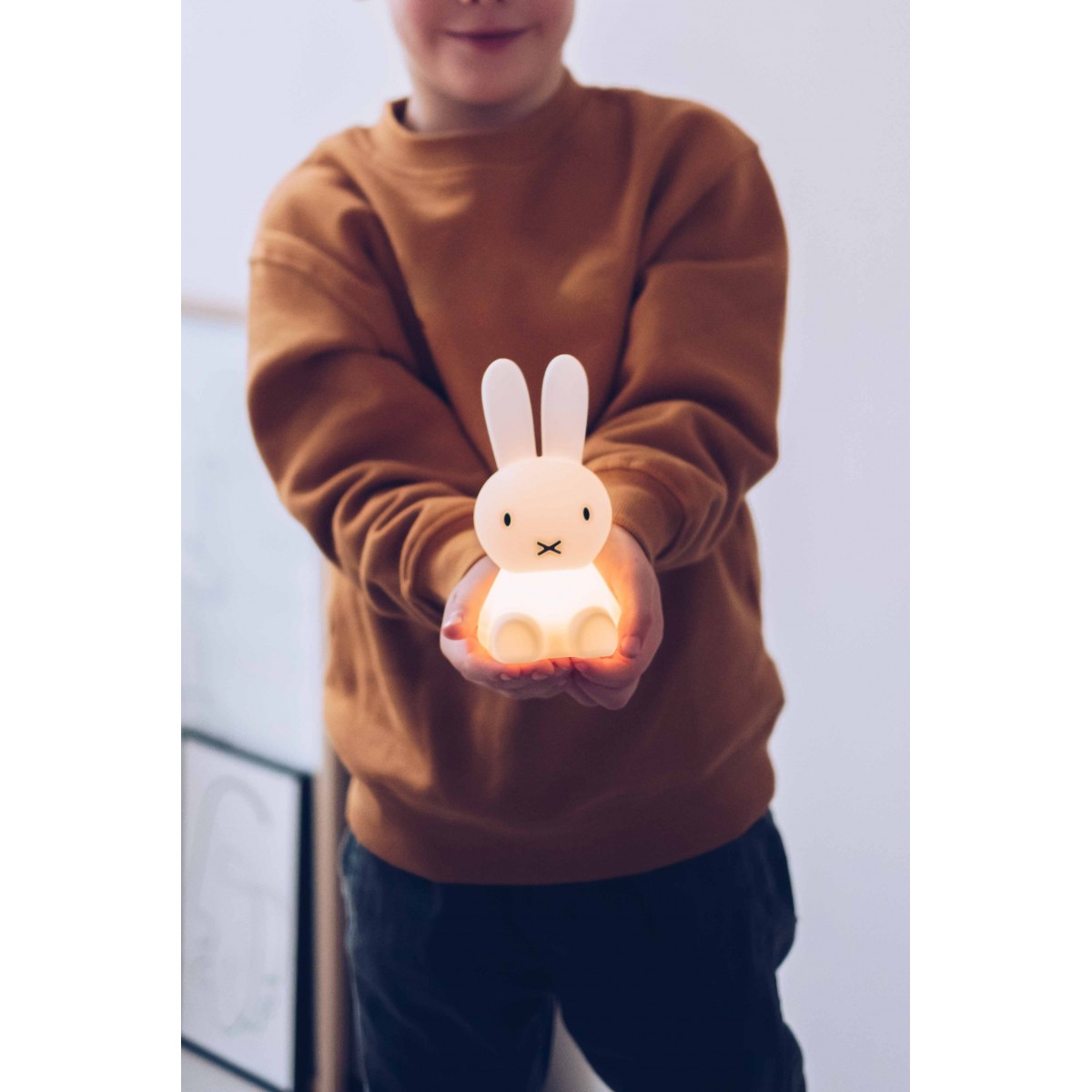 Miffy bundle of light hotsell